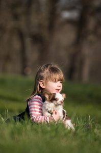 kids and dogs