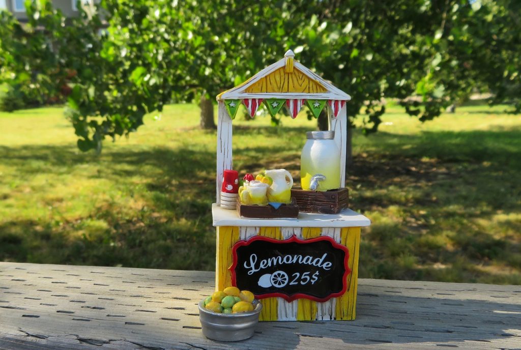 Kid Entrepreneur