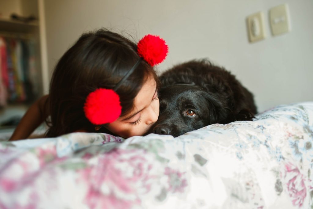 kids and dogs