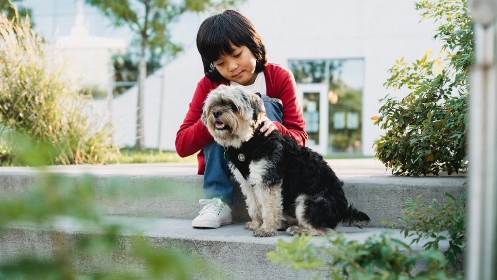 kids and dogs